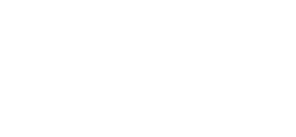 Logo Jan Bubert Malermeister in weiß